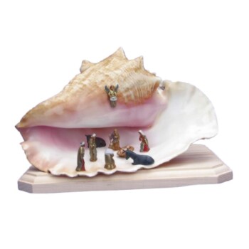 Nacimiento en caracola grande