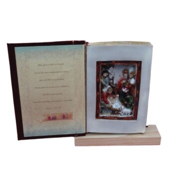 Libro de terciopelo